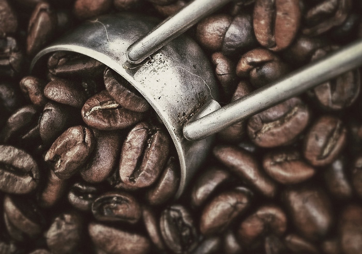 Know Your Roasts: Coffee Roasts Guide